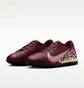 Сороконожки мужские Nike Zoom Vapor 16 Academy Nu3 Bordo/Beige IO9328-661