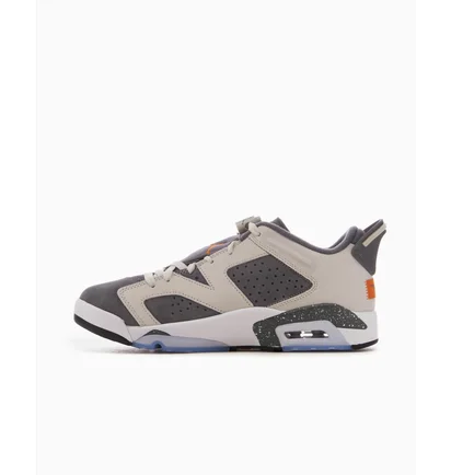 Кросівки чоловічі Air Jordan X Psg 6 Retro Low Light Bone Grey/Violet DZ4133-008