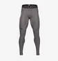 Леггинсы мужские Under Armour Heat Gear Leggings Grey 1361586-090