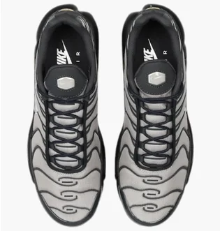 Кроссовки мужские Nike Air Max Plus Grey IM5983-070