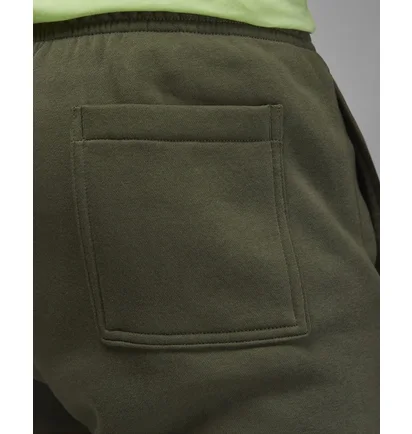 Штаны мужские Air Jordan M J Flt Mvp Fleece Pant Green Dv1603-325