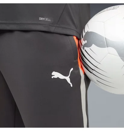 Штаны мужские Puma Individualliga Grey 659517-10