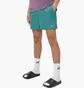 Шорты мужские Nike Swim Essential 5 Shorts Green NESSA560-302