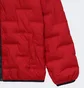Куртка детская Air Jordan Jdn Welded Red 95D194-R78