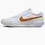 Кросівки чоловічі Nike Court Air Zoom Lite 3 White DV3258-103