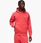 Худі чоловіче Air Jordan Essentials Sweatshirt Red FJ7774-604