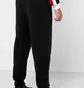 Штаны мужские Air Jordan Jumpman Logo Flc Pant Black Bq8646-010