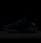 Кросівки чоловічі Nike Pegasus Plus Prm Blue HQ1719-400