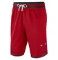 Шорты мужские Nike Chicago Bulls Dna Red DH9169-657
