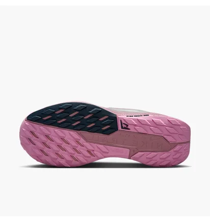 Кросівки жіночі Nike Pegasus Trail 5 Gtx Pink/Violet DV3865-500