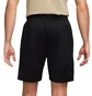 Шорты мужские Nike Icon Dri-Fit Basketball Shorts Black DV9524-014