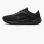 Кросівки чоловічі Nike Air Winflo 10 Black DV4022-001