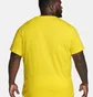 Футболка мужская Nike T-Shirt Sportswear Club Yellow AR4997-718