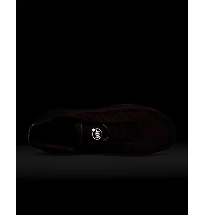 Кросівки чоловічі Nike Air Max Pulse Roam Bordo/Brown DZ3544-600