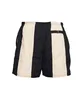 Шорты мужские Nike Nsw Woven Short Stripe Blue/Beige FB7378-010