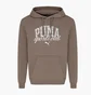 Худи мужское Puma Class Brown 684649-93