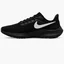 Кроссовки женские Nike Air Zoom Pegasus 39 Black Dh4072-002
