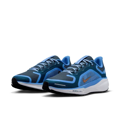Кросівки жіночі Nike Pegasus 41 Gore Tex Blue FQ1357-400