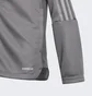 Олимпийка детская Adidas Tiro 21 Track Jacket Grey Gm7311