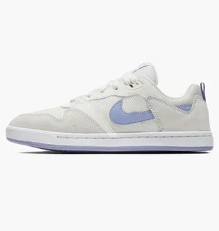 Кросівки жіночі Nike Sb Alleyoop WomenS Skate Shoes White/Grey CQ0369-102