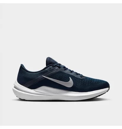 Кроссовки мужские Nike Winflo 10 Running Shoes Blue DV4022-400