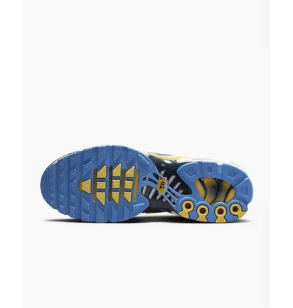 Кроссовки женские Nike Air Max Plus Blue Fd9871-400
