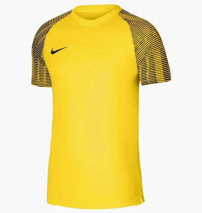 Футболка мужская Nike Academy Jsy Ss Yellow Dh8031-719