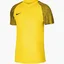 Футболка мужская Nike Academy Jsy Ss Yellow Dh8031-719