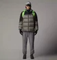 Пуховик мужской The North Face Diablo 2.0 Grey NF0A89930IM