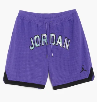 Шорти чоловічі Nike Air Jordan Jumpman Sport Dna Mesh Short Violet Dm1414-579