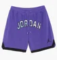 Шорты мужские Nike Air Jordan Jumpman Sport Dna Mesh Short Violet Dm1414-579