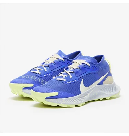 Кроссовки женские Nike Pegasus Trail 3 Gtx Blue DC8794-400