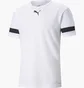 Футболка мужская Puma Teamrise Jersey White 704932-04