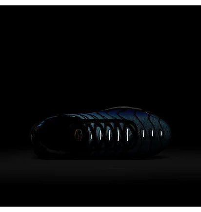 Кроссовки детские Nike Air Max Plus Blue CD0609-032