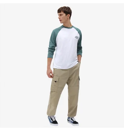Штани чоловічі Dickies Eagle Bend Cargo Pant Beige DK0A4X9XKHK1