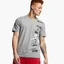Футболка мужская Air Jordan Jumpman Graphic Grey Bv0086-091