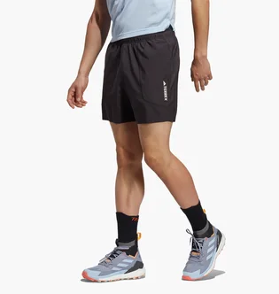 Шорты мужские Adidas Terrex Multi Shorts Black Hm4013