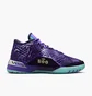 Кроссовки мужские Nike Lbj Nxxt Genisus Qs Violet IB1272-501