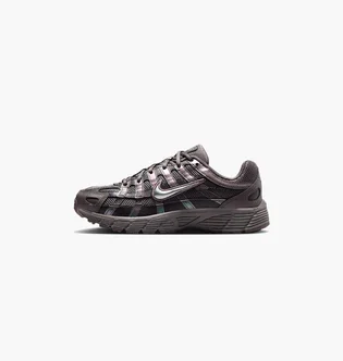 Кросівки дитячі Nike P-6000 Brown HV5064-200