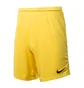 Шорты мужские Nike M Dry Park Iii Short K Yellow BV6855-719