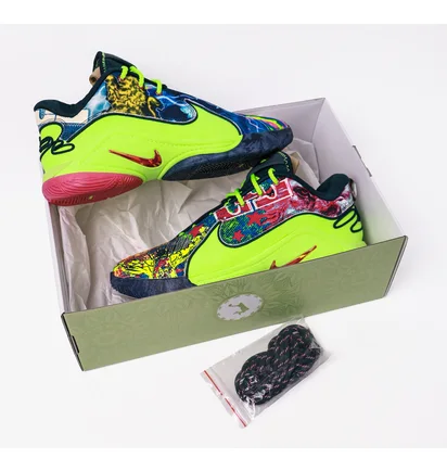 Кроссовки мужские Nike Lebron Xxii Bw Multi HV8451-400