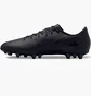Бутси унісекс Nike Air Zoom Mercurial Vapor Xvi Academy Ag Shadow Black FQ8364-002