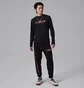 Кофта мужская Air Jordan Sport Dri-Fit Graphic Crewneck Black IF0855-010