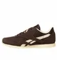 Кросівки жіночі Reebok Cl Nylon Slim Ep Brown BS5109