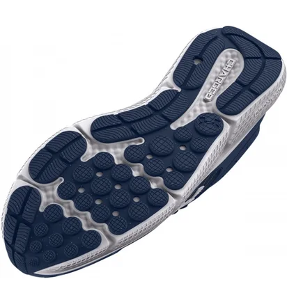 Кросівки чоловічі Under Armour Charged Assert 10 Blue 3026175-400