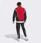 Спортивный костюм мужской Adidas Sportswear Woven Non-Hooded Track Suit Black/Red IJ6073