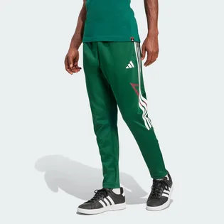Штани чоловічі Adidas House Of Tiro Nations Green JN2574