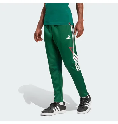 Штаны мужские Adidas House Of Tiro Nations Green JN2574