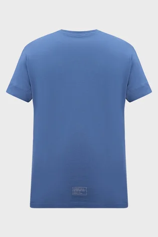 Футболка мужская Arena T-Shirt Logo As Blue 007671-540