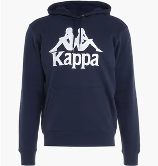 Худі чоловіче Kappa Taino Hooded Sweatshirt Blue 705322821